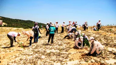 Blog post - Turning Global Commitments into Local Action Making the Belém Adaptation Indicators Work for Climate-Vulnerable Countries (Global Evaluation Initiative)