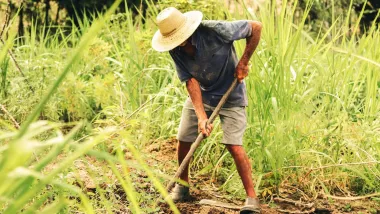 News article image - Brazil Evaluation Highlights Role of Public Policy in Protecting Smallholder Farmers from Climate Shocks (CLEAR-LAB)