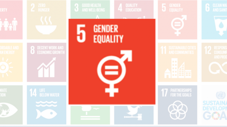 Gender Blog CLEAR LAB