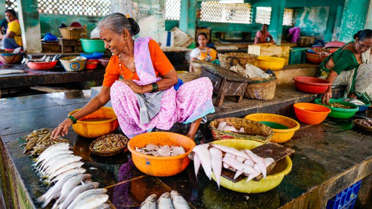 Indian Woman selling fish at a market - Picture by Ishay Botbol 
