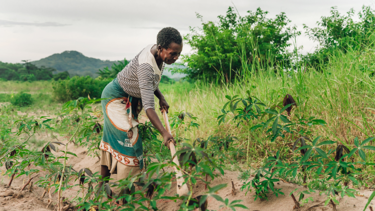 CLEAR Anglophone Africa's Evidence Review Charts the Future of Resilience Building in Southern Africa