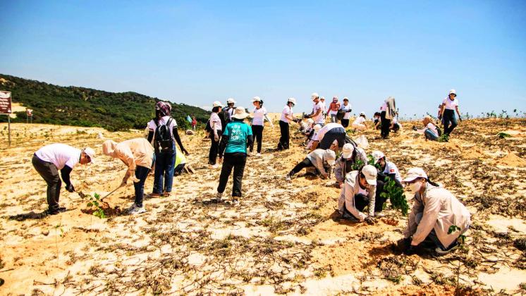 Blog post - Turning Global Commitments into Local Action Making the Belém Adaptation Indicators Work for Climate-Vulnerable Countries (Global Evaluation Initiative)